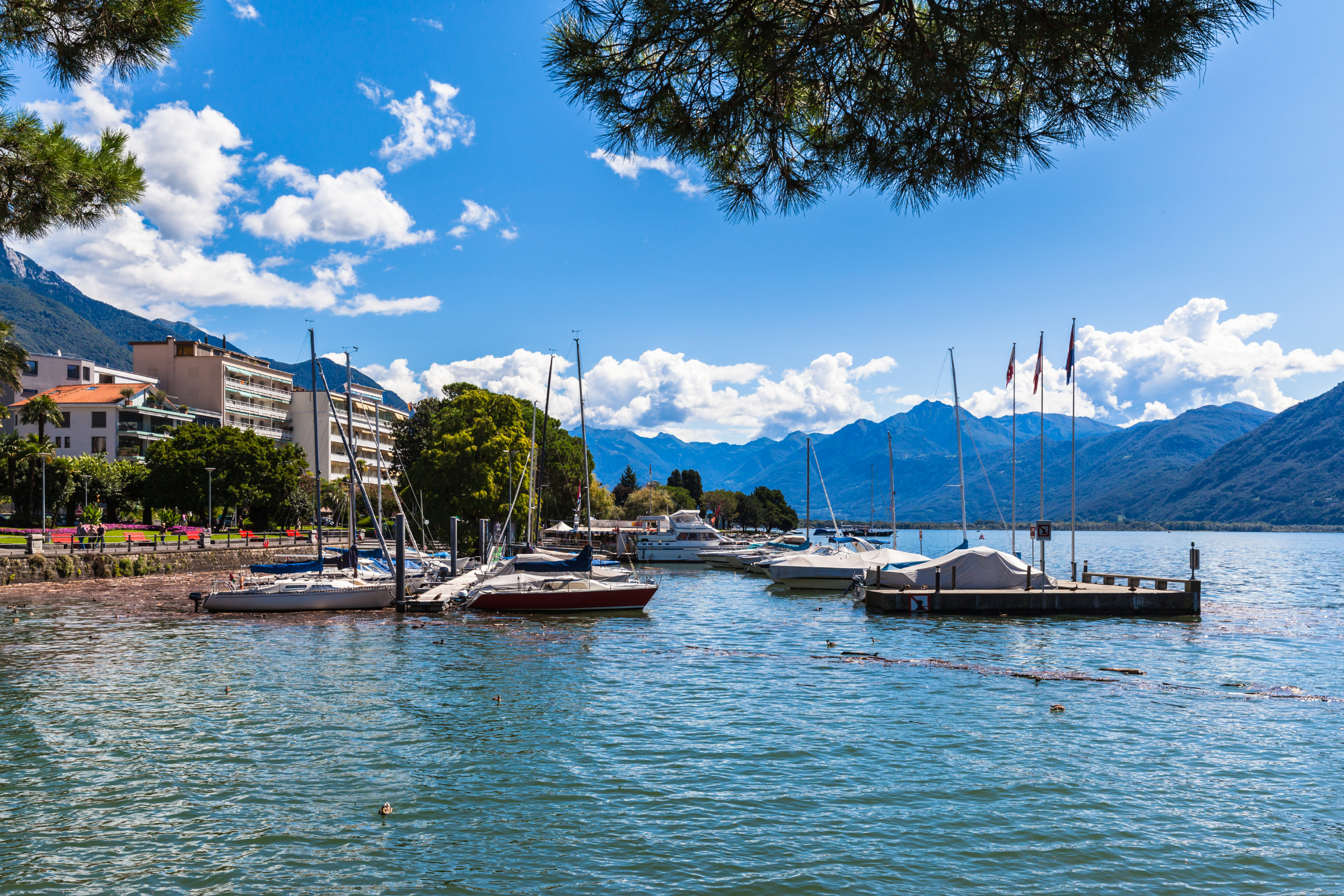 locarno (3).webp